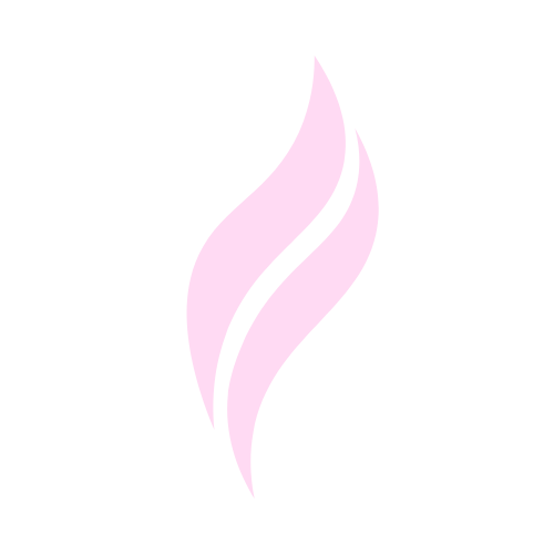 Influsfera logo - Tech company founded by Vix